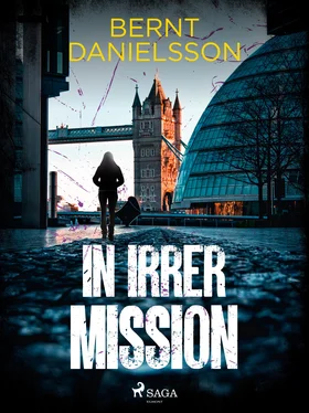 Bernt Danielsson In irrer Mission обложка книги