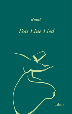 Rumi Das Eine Lied обложка книги