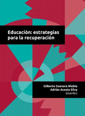 Adrián Acosta Silva Educación: estrategias para la recuperación обложка книги