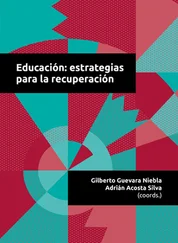 Adrián Acosta Silva - Educación - estrategias para la recuperación