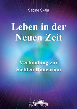 Sabine Skala Leben in der Neuen Zeit обложка книги