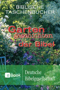 Неизвестный Автор Gartengeschichten der Bibel обложка книги