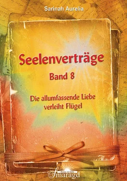 Sarinah Aurelia Seelenverträge Band 8 обложка книги