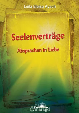 Leila Eleisa Ayach Seelenverträge обложка книги