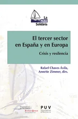 AAVV - El tercer sector en España y en Europa