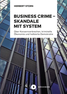 Herbert Storn Business Crime – Skandale mit System обложка книги