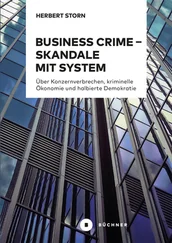 Herbert Storn - Business Crime – Skandale mit System