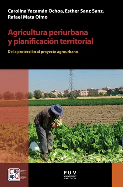 Carolina Yacamán Ochoa Agricultura periurbana y planificación territorial обложка книги