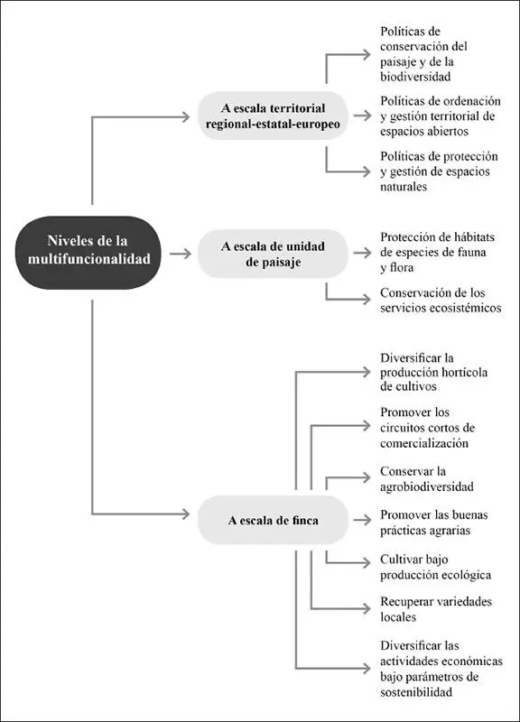 Fuente Yacamán 2017 a La definición de la agricultura periurbana los - фото 3