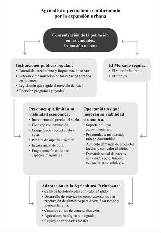 Fuente Yacamán 2017 a FIGURA 15 Marco conceptual de la agricultura - фото 4