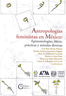 Lina Rosa Berrio Palomo Antropologías feministas en México обложка книги