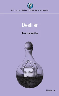 Ana Jaramillo Destilar обложка книги