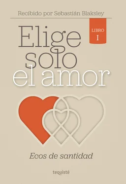 Sebastián Blaksley Elige solo el amor: Ecos de santidad обложка книги