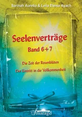 Leila Eleisa Ayach - Seelenverträge Band 6 und 7