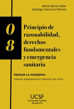 María Marta Didier Principio de razonabilidad, derechos fundamentales y emergencia sanitaria обложка книги
