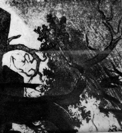 ЧЫРВОНЫ БАНКЕТ - фото 5