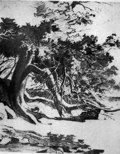 ЧЫРВОНЫ БАНКЕТ Зазванілі ва ўсе звоны - фото 6