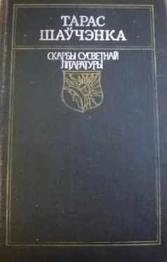 Тарас Рыгоравіч Вершы. Паэмы обложка книги