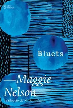 Maggie Nelson Bluets обложка книги