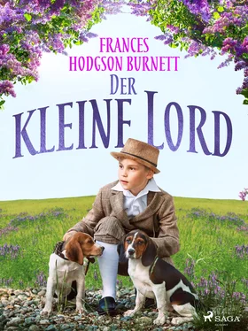 Frances Burnett Der kleine Lord обложка книги