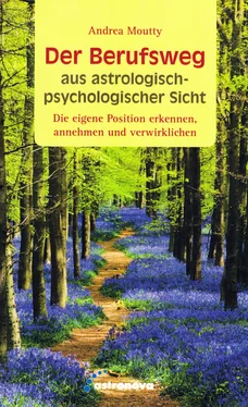 Andrea Moutty Der Berufsweg aus astrologisch-psychologischer Sicht обложка книги