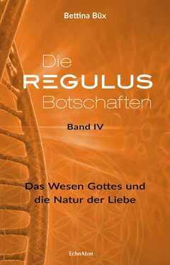 Bettina Büx Die Regulus-Botschaften: Band IV обложка книги