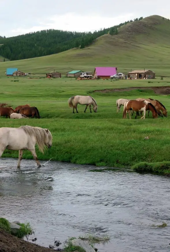 Inhalt Vorwort Zum Geleit Die Kraft der Wildnis Nordmongolei Auf der Suche - фото 2