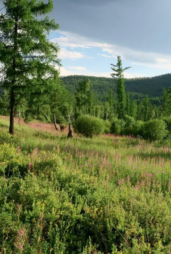 Sibirien Auf in die Taiga Kjachta der Glanz vergangener Tage Burjaten die - фото 3