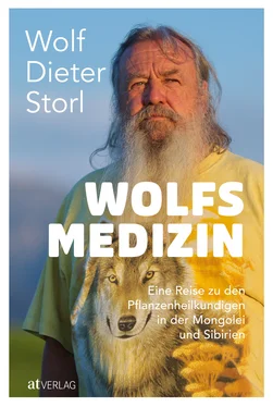 Wolf-Dieter Storl Wolfsmedizin - eBook обложка книги