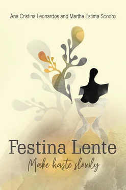 Ana Cristina Leonardos Festina Lente обложка книги