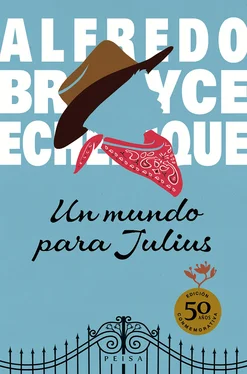 Alfredo Echenique Un mundo para Julius обложка книги