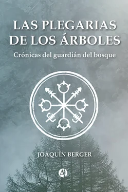 Joaquín Berger Las plegarias de los árboles обложка книги