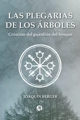 Joaquín Berger - Las plegarias de los árboles