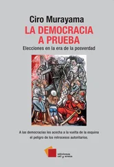 Ciro Murayama - La democracia a prueba
