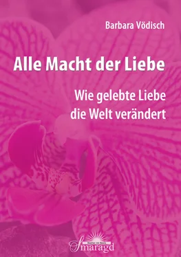 Barbara Vödisch Alle Macht der Liebe обложка книги