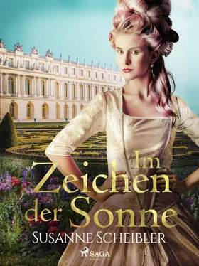 Susanne Scheibler Im Zeichen der Sonne обложка книги