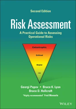 Georgi Popov Risk Assessment обложка книги