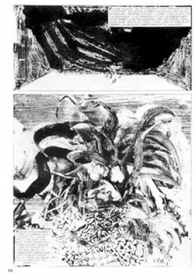 N Buscaglia y A Breccia Los mitos de Ctulhu 1974 Frank Miller 300 - фото 42