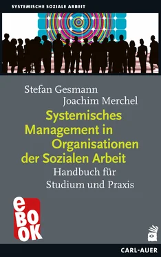 Stefan Gesmann Systemisches Management in Organisationen der Sozialen Arbeit обложка книги