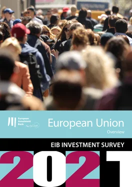 Неизвестный Автор EIB Investment Survey 2021 - European Union overview обложка книги