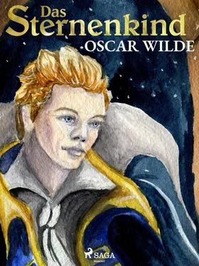 Oscar Wilde Das Sternenkind обложка книги