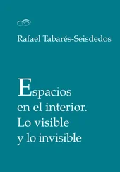 Rafael Tabarés-Seisdedos - Espacios en el interior