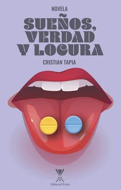 Cristian Tapia Reinoso Sueños, verdad y locura обложка книги