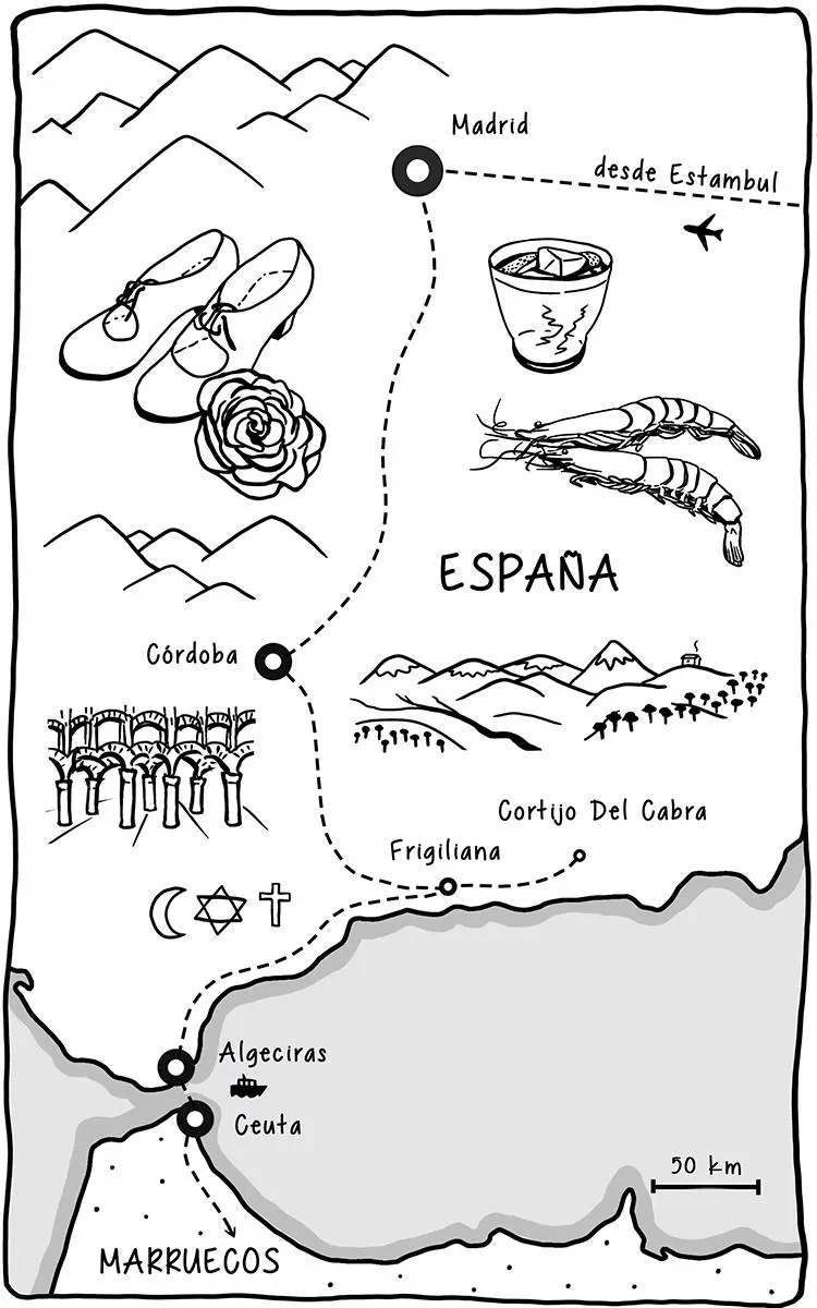 M y M macrodecisiones y Madrid Y ahora qué van a hacer Cuánto tiempo se - фото 14