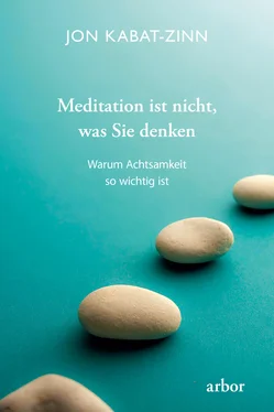 Jon Kabat-Zinn Meditation ist nicht, was Sie denken обложка книги