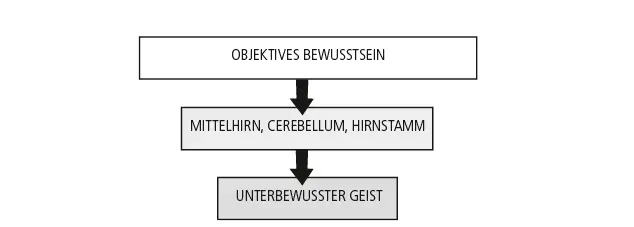 Abbildung 23B Die beiden Betriebssysteme des Gehirns In den Abbildungen 23A - фото 6