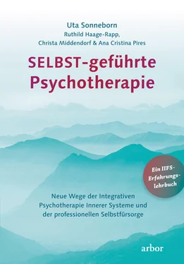 Uta Sonneborn SELBST-geführte Psychotherapie обложка книги