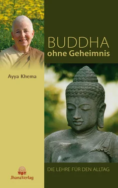 Ayya Khema Buddha ohne Geheimnis обложка книги