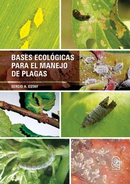 Sergio A. Estay Bases ecológicas para el manejo de plagas обложка книги