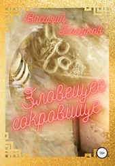 Василий Боярков - Зловещее сокровище